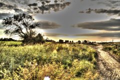 HDR-005.jpg