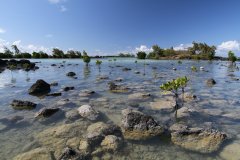 Landscape-003.jpg