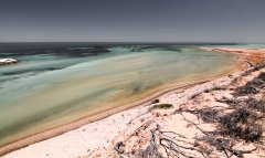 Landscape-004.jpg