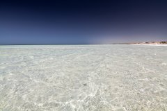 Landscape-005.jpg